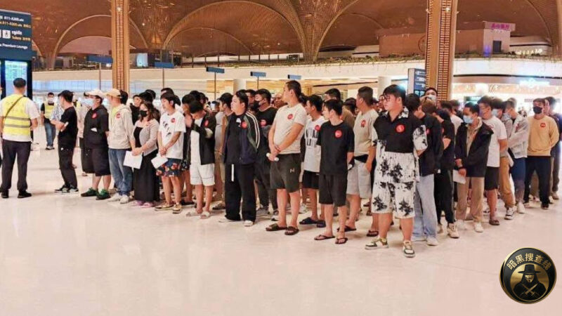 柬埔寨清剿电诈显成效：24万余名外籍涉诈人员离境或被遣返