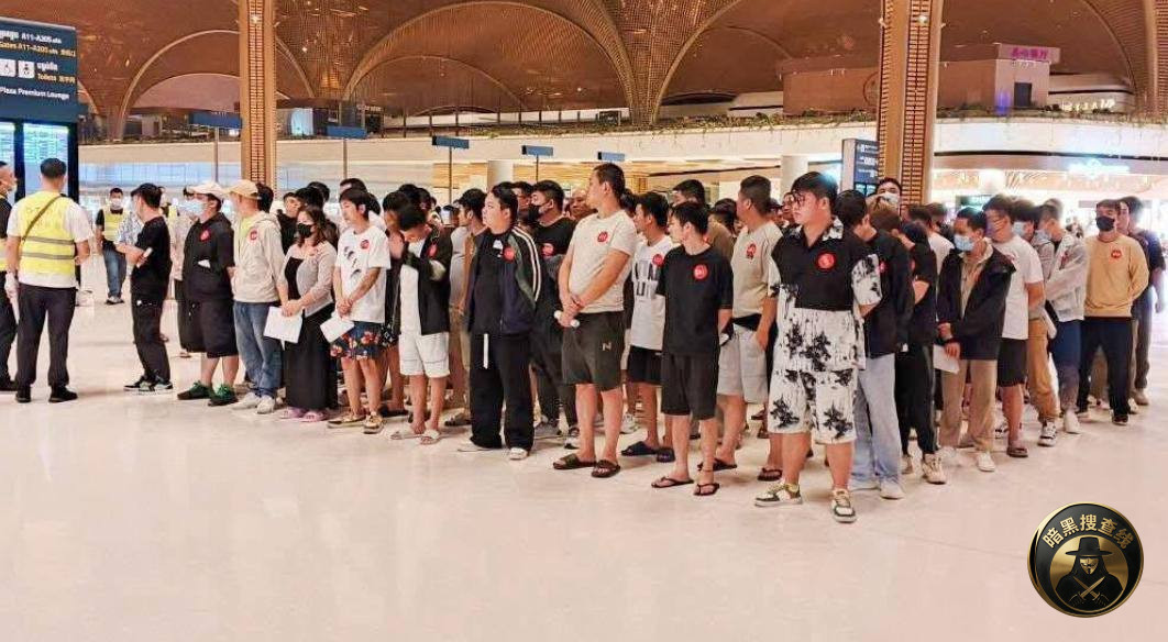 柬埔寨清剿电诈显成效：24万余名外籍涉诈人员离境或被遣返