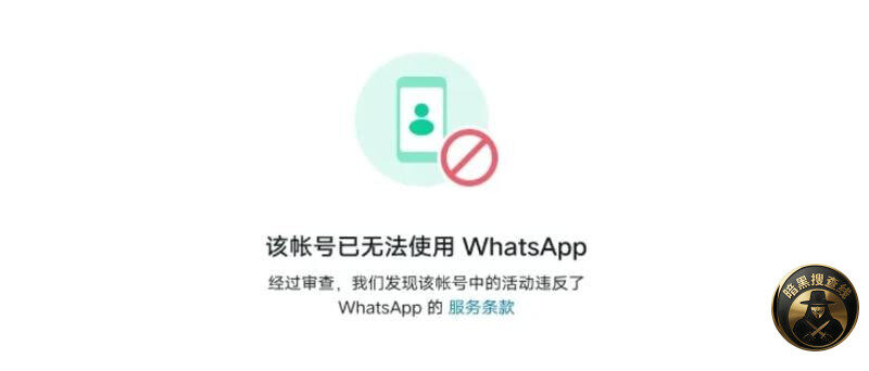 #群友分享：如果想更高级一点地养新注册的 WhatsApp