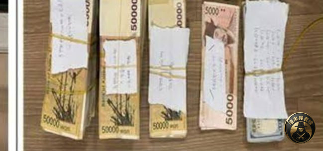 #1200万美元韩国诈骗犯 #整容换脸 潜逃10个月，最终败
