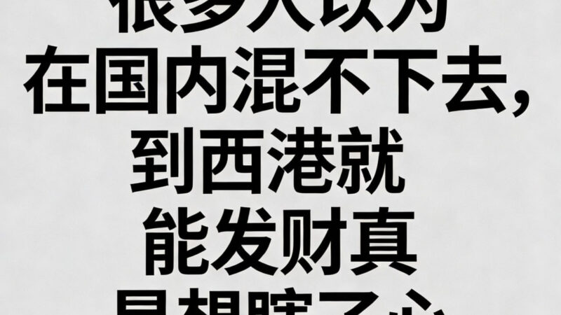 #网友投稿 #西港

2026年一开年，柬埔寨就没停过大