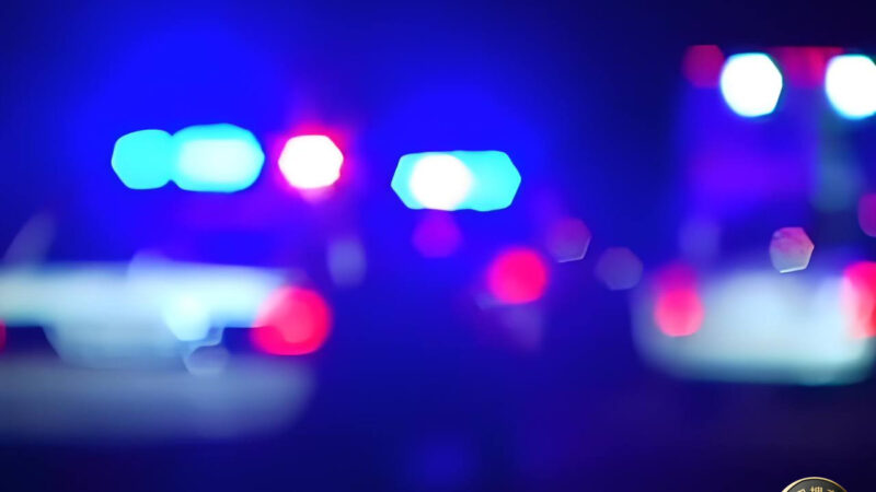 #斯里兰卡新闻：昨天又一个盘口被警方捣毁，18人落网（含16