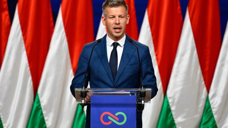 Hungary’s PM-elect Magyar vows fair play for firms, review of Orban’s deals