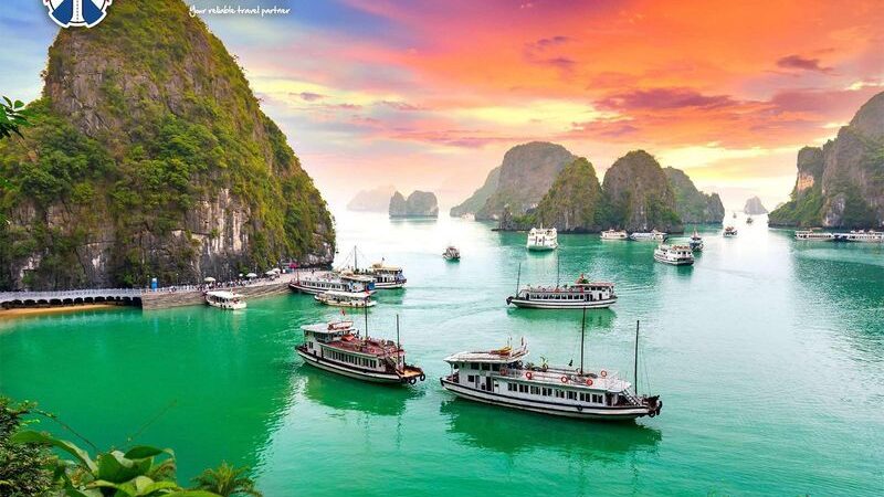 揭秘富國島免簽背後！印度使館為何仍籲公民申辦越南簽證？