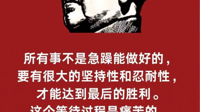 #网友投稿   我是一名代理，手下最多的时候三十多个人，现在