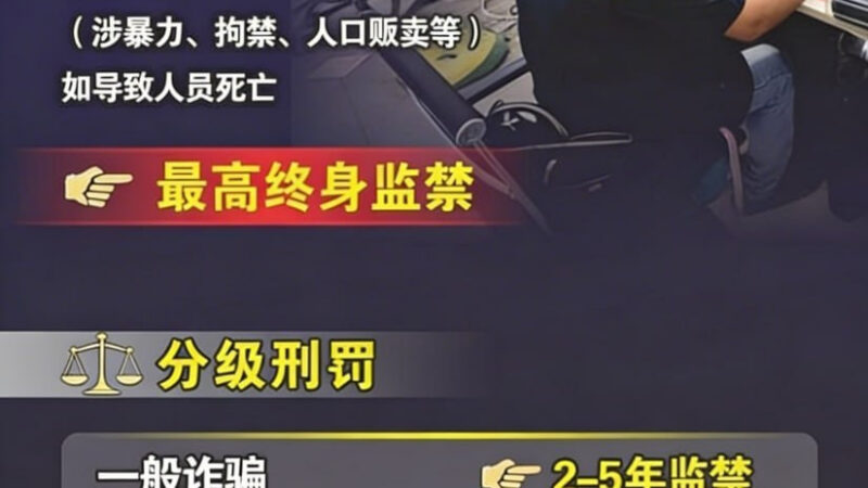 柬埔寨《反电信网络诈骗法》正式生效 组织电诈最高可判终身监禁