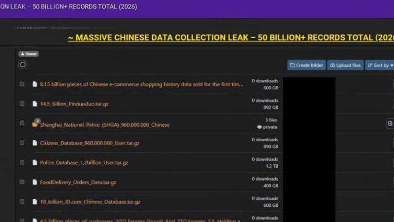 #国内重磅 一个包含超过 500 亿条记录的中国数据库合集，