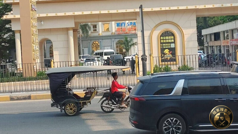 #突发事件：木牌泰坦被宪兵队包围了。