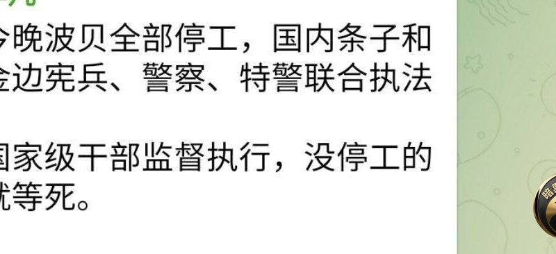 💡 今天晚上“🇰🇭波贝”的公司必须全部停工

国内的帽子