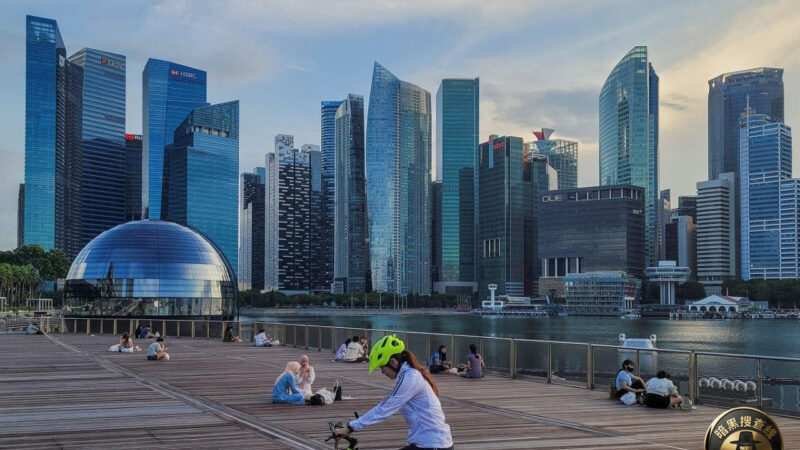 2026财富报告：新加坡稳坐东南亚富豪榜首

房地产咨询