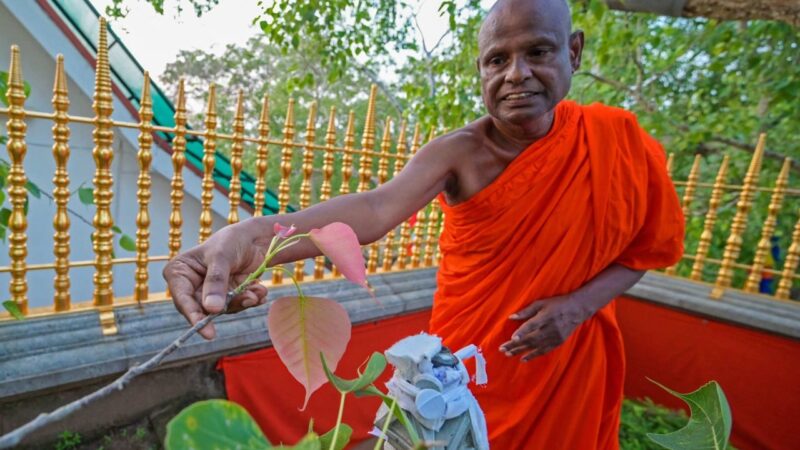 Sri Lankan Buddhist monk arrested over alleged sex abuse of 11-year-old girl