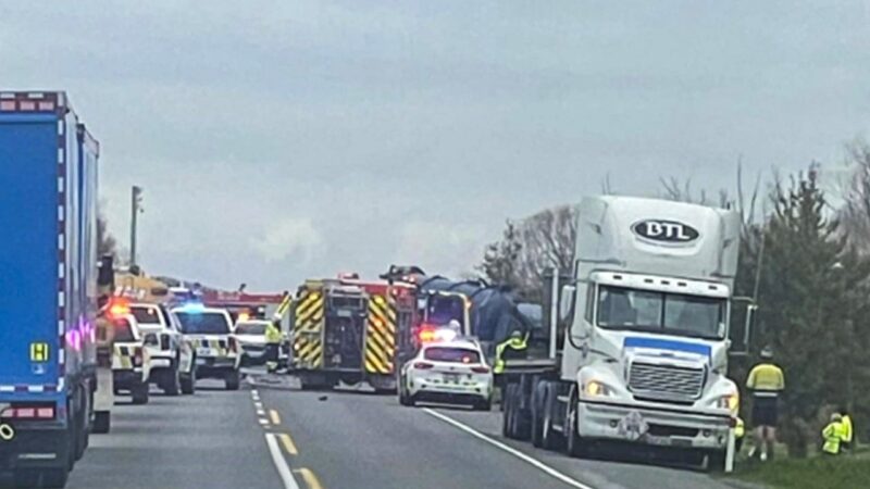 New Zealand car crash: how Hongkongers can stay safe on self-drive trips abroad