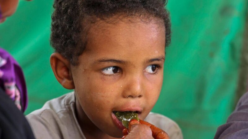 Yemen family eats tree leaves as aid dies out