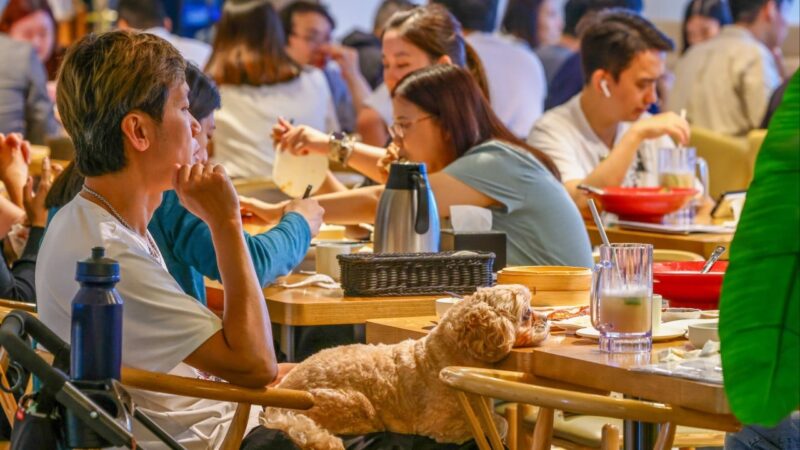 Hong Kong’s dog-friendly restaurant scheme receives 700 applications on first day