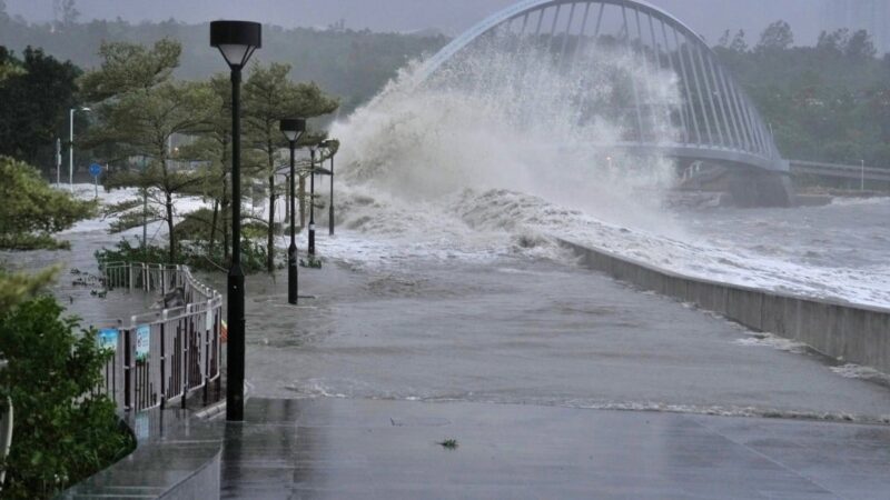 Hong Kong braces for typhoon season with 50,000 sandbags, flood barriers