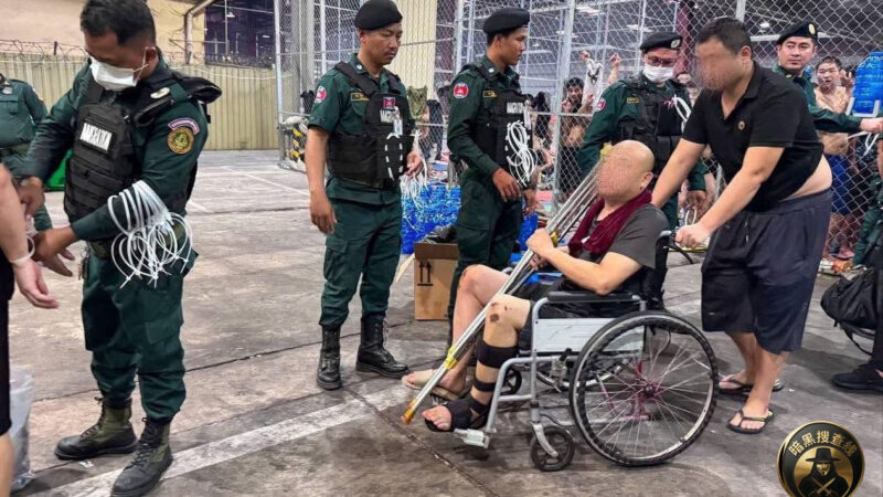 昨晚 166名涉嫌网络诈骗的中国公民被柬埔寨依法遣返