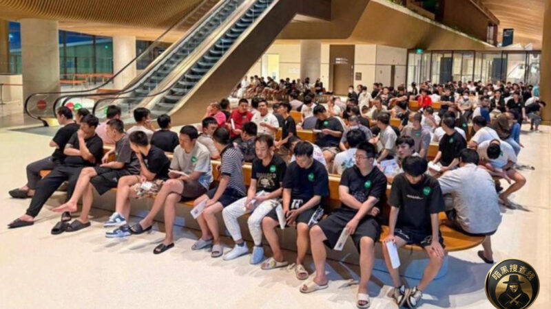 柬埔寨已赶走37万人

自柬埔寨掀起此轮史无前例的打诈行
