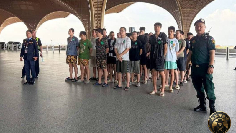 #柬埔寨新闻 319名中国人因涉嫌网络诈骗被柬埔寨驱逐出境