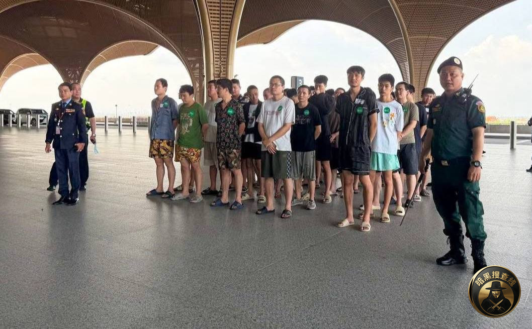 #柬埔寨新闻 319名中国人因涉嫌网络诈骗被柬埔寨驱逐出境