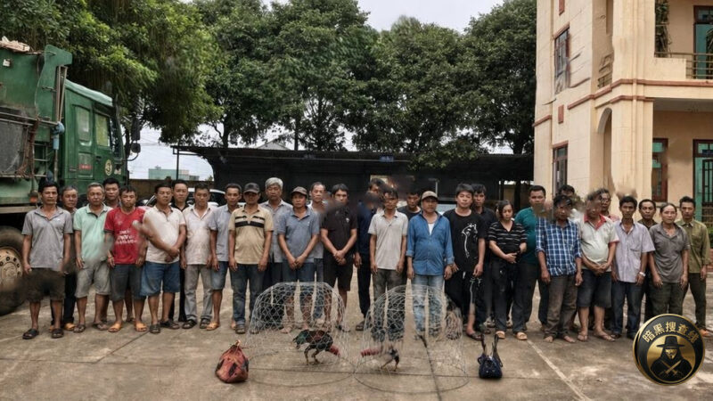 #越南资讯 越南警方用无人机突袭大型斗鸡赌博窝点：31人被抓