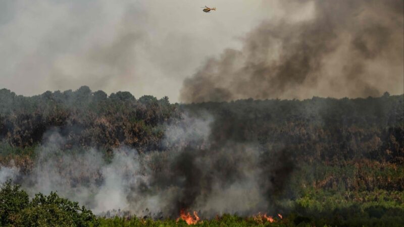 France, Spain make headway against wildfires but new heatwave looms