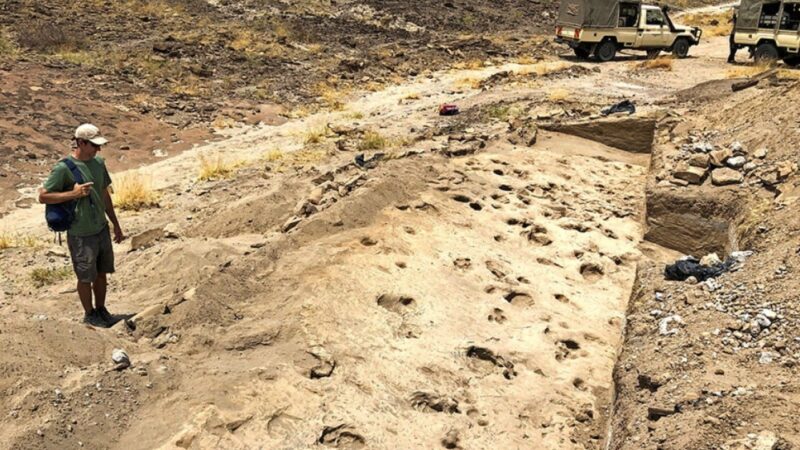 Footprints in Kenya shed light on prehistoric human cousin Paranthropus