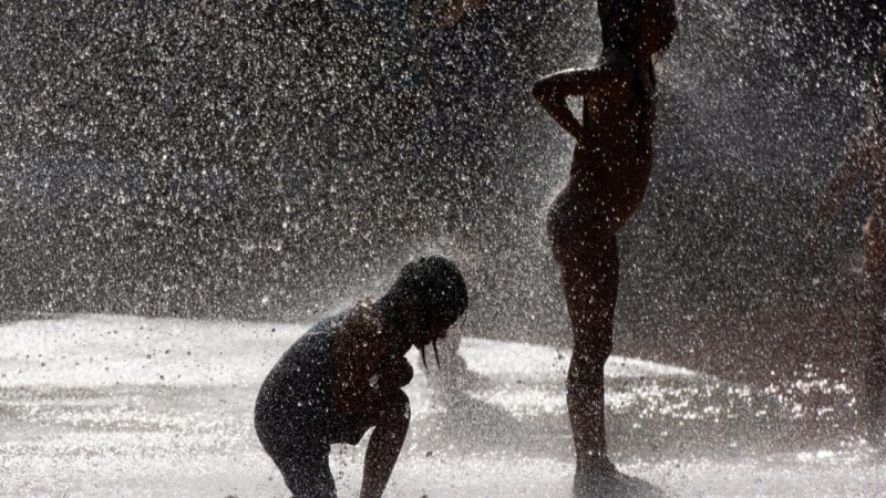 German deaths rise 32% during record June heatwave, data shows