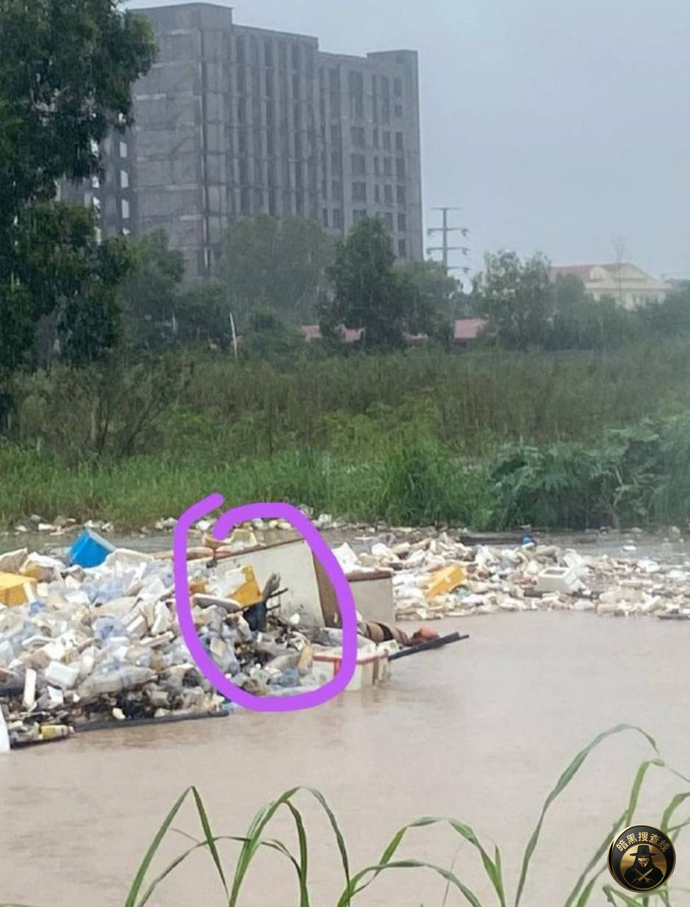 西港一场大雨，全城水淹。

在被泡起的垃圾堆中，惊现人手