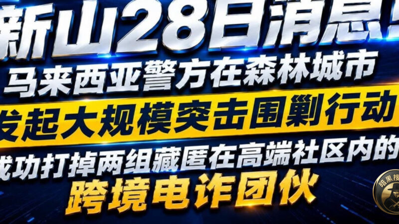 #马来西亚森林城市突袭电诈窝点 330多人落网‼️

新