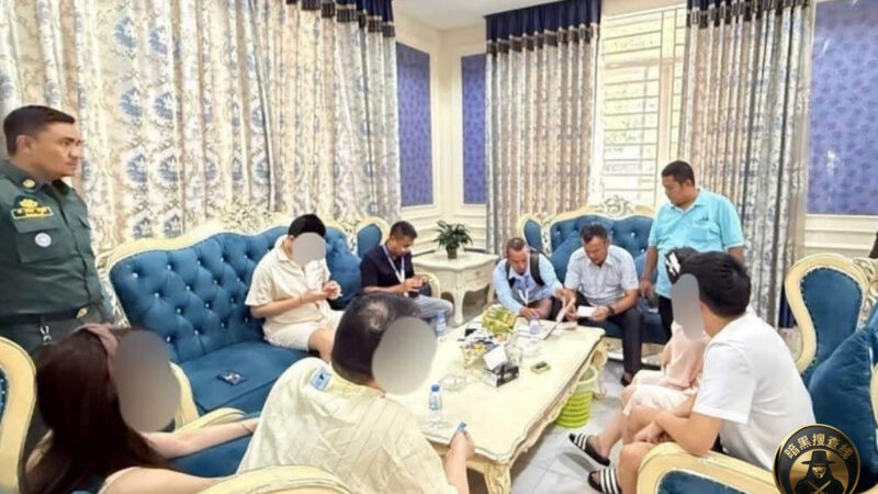 查处电诈，柬埔寨上半年罚款194万美元

2026年上半