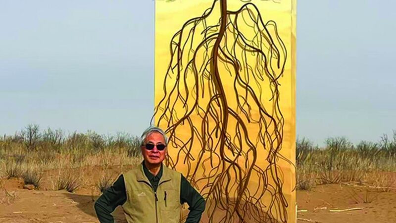 Social Transformation in the Sands