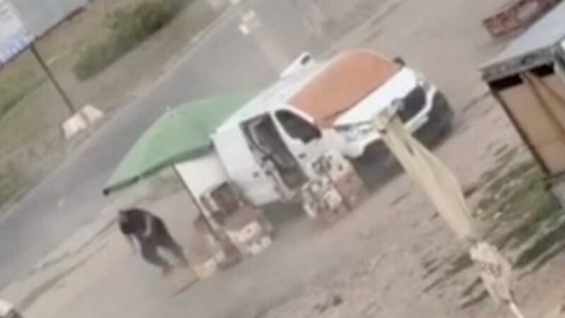 Ukraine slams Russian ‘drone safari’ after video shows vegetable seller being chased down