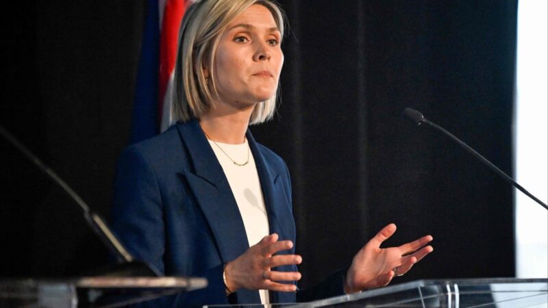Icelandic voters reject proposal to restart negotiations to join European Union