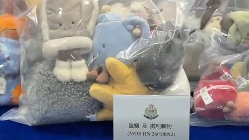 Police arrest 3 over HK,000 Jellycat claw machine shop theft