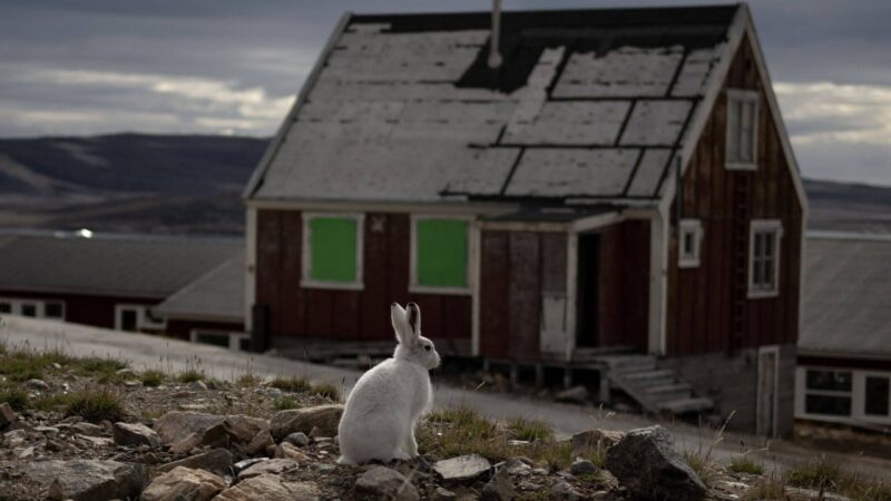 US, Greenland, Denmark to sign deal at UN in New York in bid to end Arctic stand-off