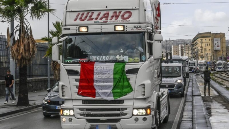 Millions in cheese revenue lost as protest hits Italy’s buffalo mozzarella output