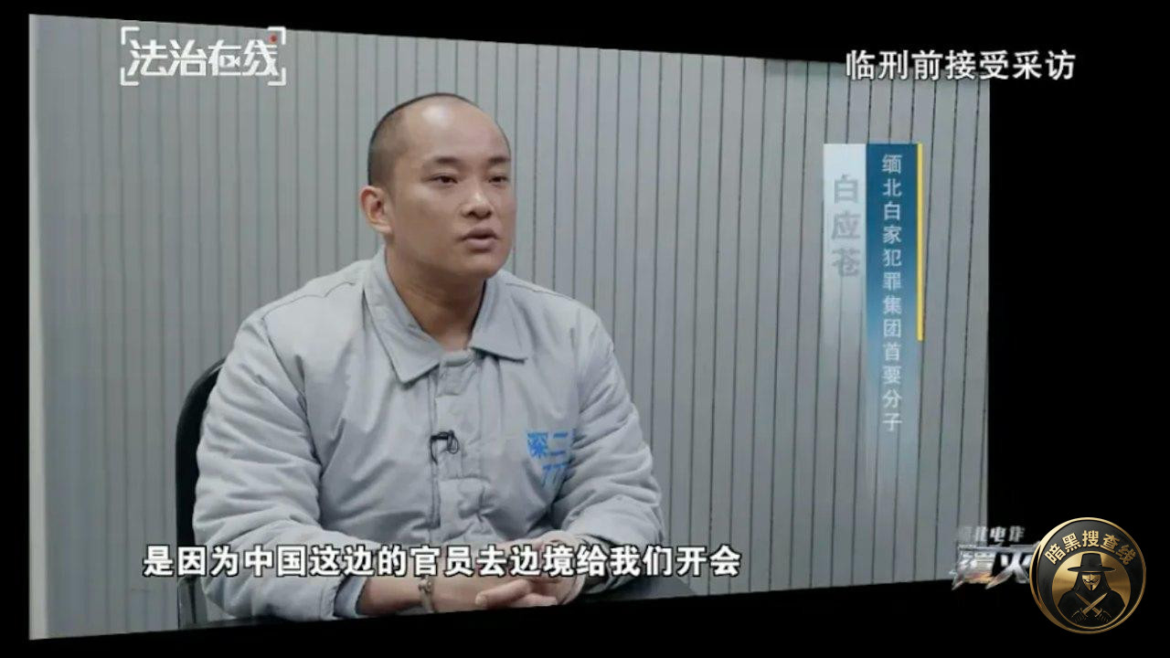 白应苍死刑前交代:诈骗诱惑太大了,随口一个资金盘就20亿 白应苍死刑前交代:诈骗诱惑太大了,随口一个资金盘就20亿